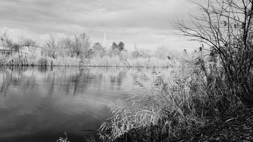 nature