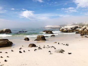 Scenic view of rocks on beach against sky