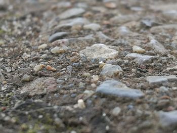 Close-up of stones