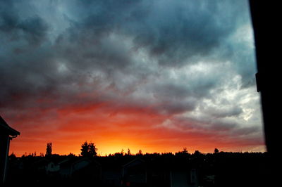 Silhouette of trees against dramatic sky