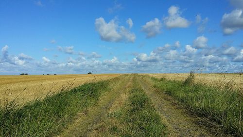 Scenic view of landscape against cloudy sky