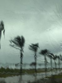 Full frame shot of wet glass during rainy season