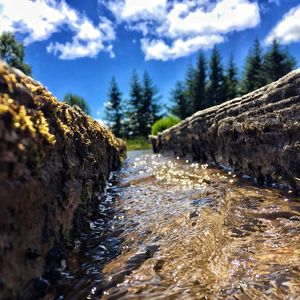 Surface level of stream flowing amidst trees in forest against sky