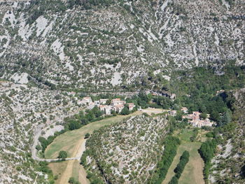 High angle view of trees and houses on field