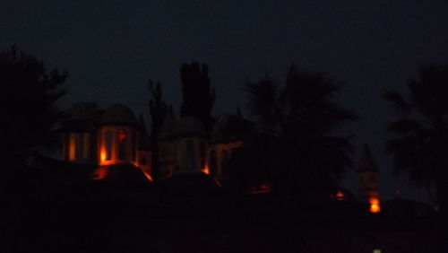 View of illuminated trees at night