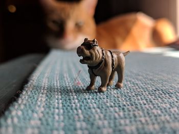Close-up of a toy dog with cat looking in the background