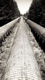 Surface level of empty road along trees