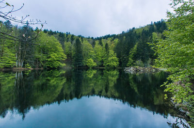 Scenic view of lake by trees against sky