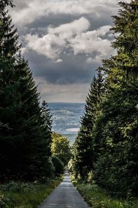 Road amidst trees against sky