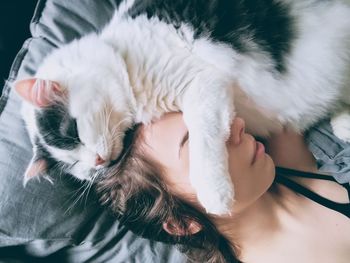 Close-up of hand holding cat