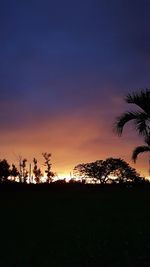 Silhouette trees on field against sky during sunset