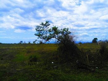 Scenic view of grassy field against cloudy sky