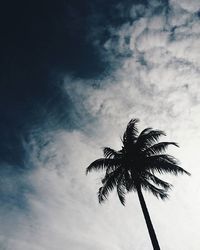 Low angle view of palm trees against cloudy sky