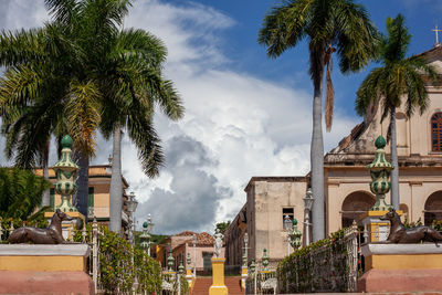 Low angle view of palm trees and buildings against sky