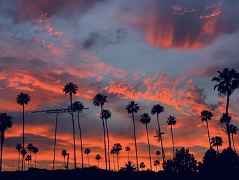 Silhouette palm trees against dramatic sky during sunset