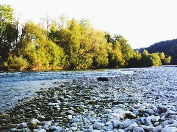 Scenic view of calm river against blue sky