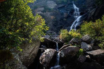 Scenic view of waterfall in forest