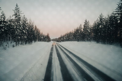 Road amidst bare trees against sky