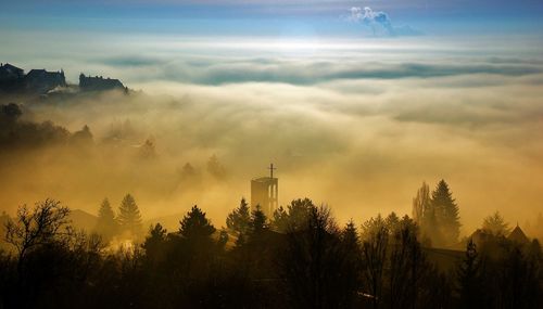 Panoramic view of silhouette trees and buildings against sky during sunset