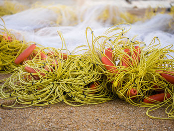 Close-up of fishing net at beach