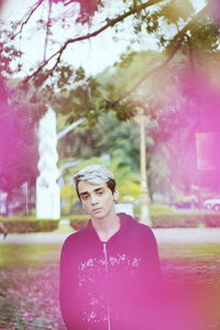 Portrait of boy standing against trees in park