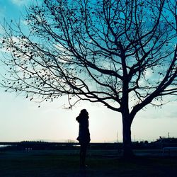 Bare trees against sky