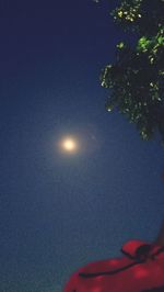 Low angle view of illuminated tree against sky at night