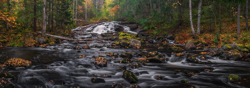 Stream flowing through rocks in forest