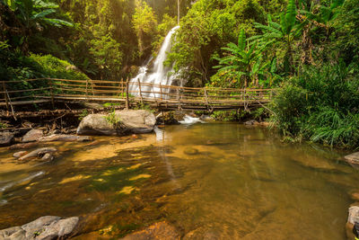 Scenic view of waterfall in forest