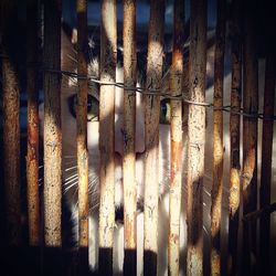 Full frame shot of cage