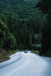 Car on road amidst trees in forest