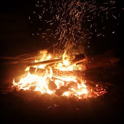 Firework display at night