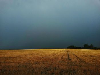 Scenic view of field against sky