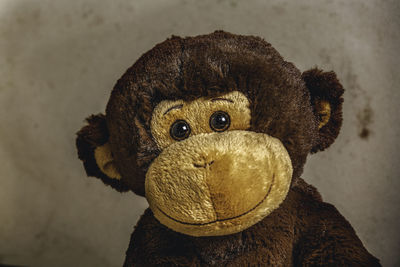 Close-up portrait of a stuffed toy