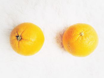 Directly above shot of orange on white background