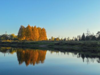 Reflection of trees in lake against clear sky