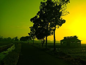 Trees on field against sky during sunset
