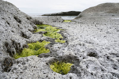 Scenic view of rocky shore and sea against sky