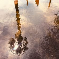 Low section of reflection of tree in puddle