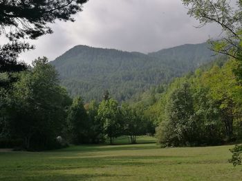 Scenic view of green landscape and mountains