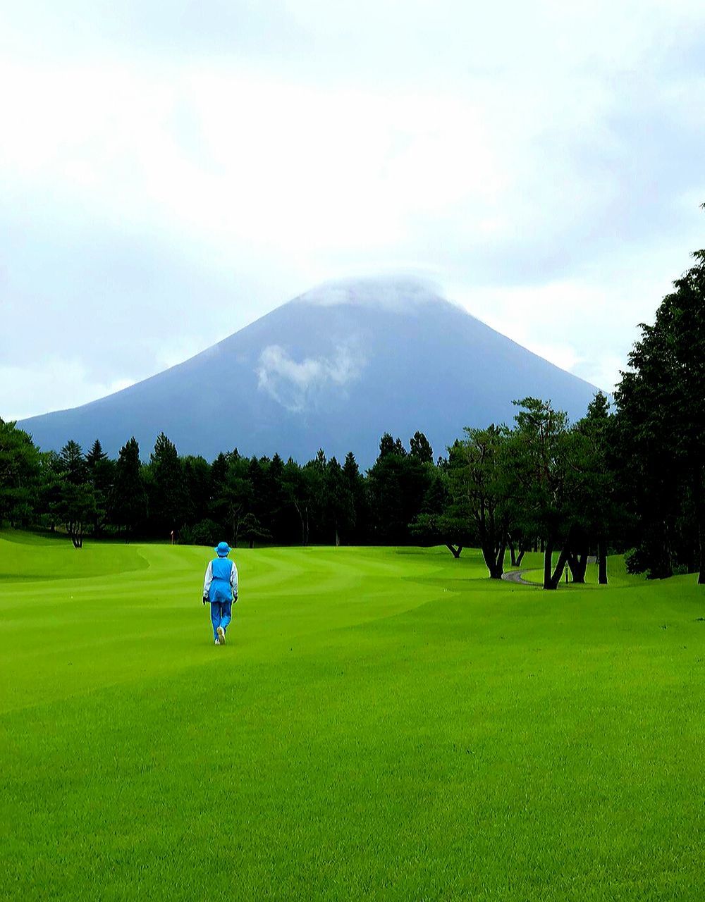 plant, grass, green color, sky, land, rear view, mountain, field, tree, beauty in nature, real people, one person, day, nature, landscape, scenics - nature, cloud - sky, leisure activity, environment, growth, outdoors