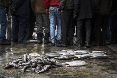 Low section of people by fish in sea