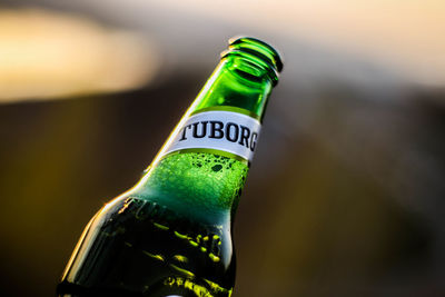 Close-up of beer bottle