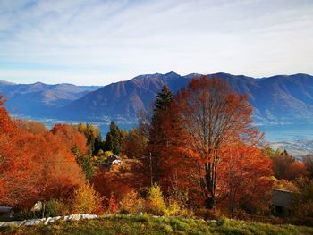 Trees on mountain against sky during autumn