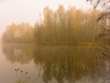 Reflection of trees in lake against sky