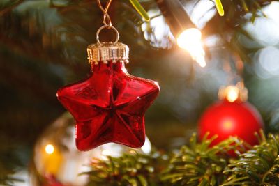 Close-up of christmas decoration hanging on tree