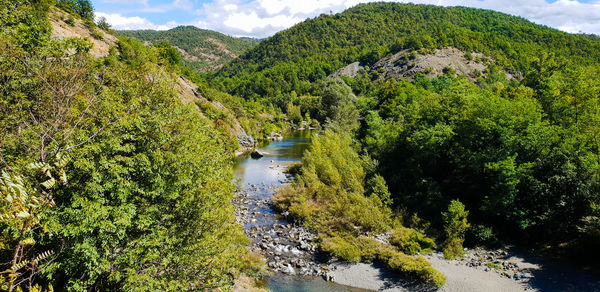 Scenic view of river amidst trees in forest against sky