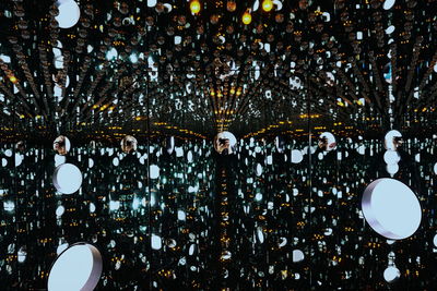 People standing by illuminated tree at night