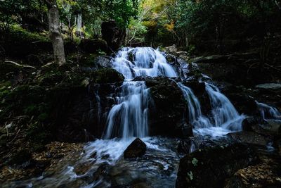 View of waterfall in forest