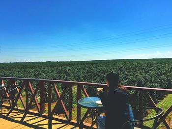 Rear view of woman standing by railing against clear blue sky